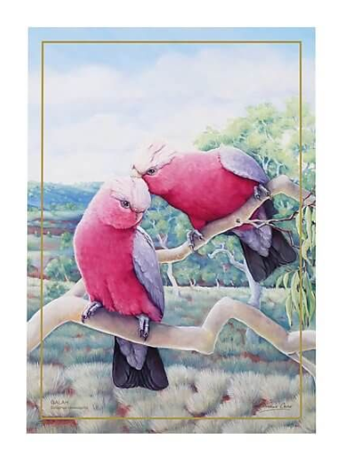 Maxwell & Williams Birds of Australia Katherine Castle 10 Year Anniversary Tea Towel - 50x70cm - Galah