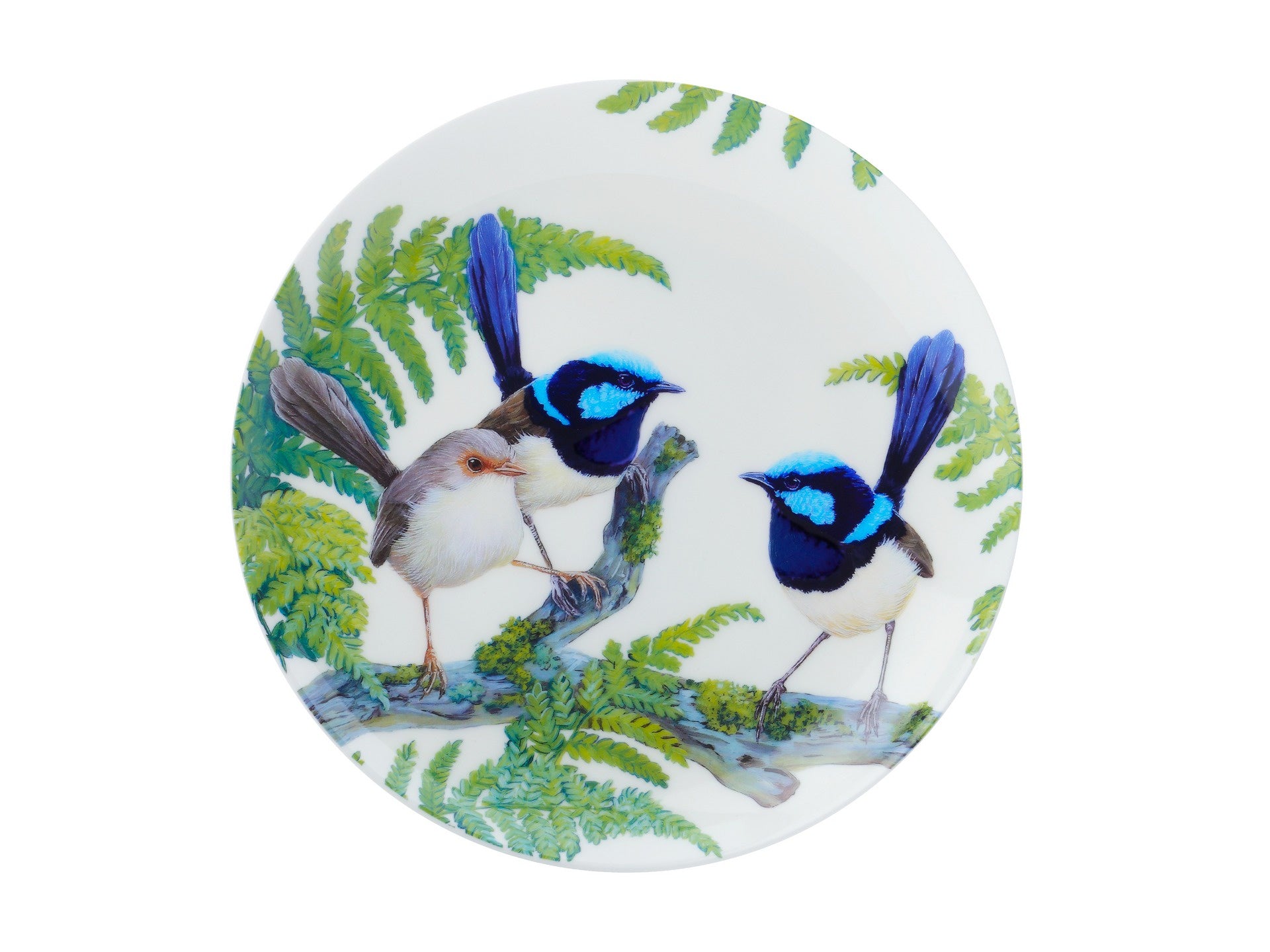 Maxwell & Williams Cashmere Birdsong Plate 20cm Wren Gift Boxed *
