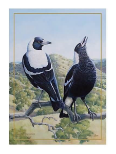 Maxwell & Williams Birds of Australia Katherine Castle 10 Year Anniversary Tea Towel - 50x70cm - Magpie