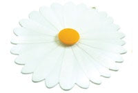 Charles Viancin Daisy Silicone Suction Lid - 23cm