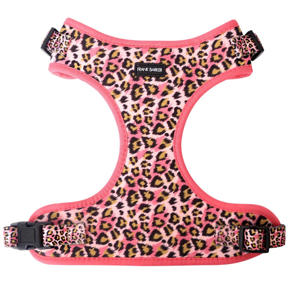 Frank Barker Harness Leopard M